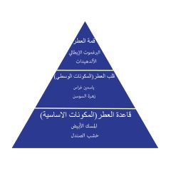   أمبريز عطر زيتي 200 مل أسطنبول