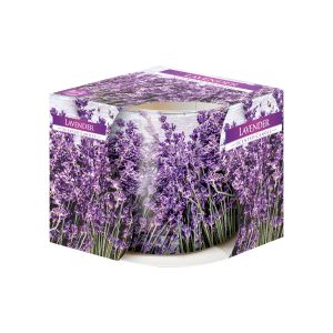 Aura Scented Candles F 100 g Lavender