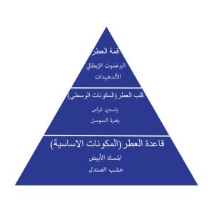   أمبريز عطر زيتي 500 مل أسطنبول